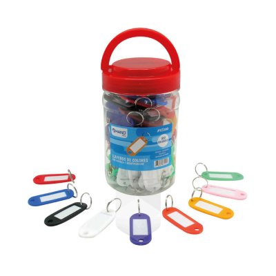 LLAVERO PLAST C/PLACA COLORES SURT.FRASCO X100 UDS
