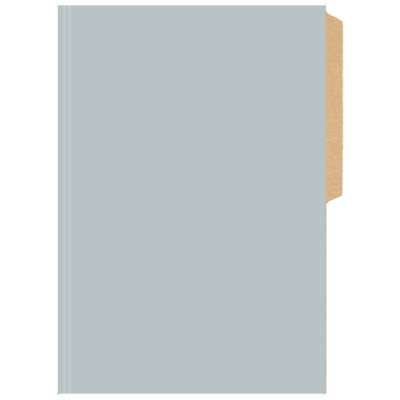 Carpeta Cartulina Buho Pigmentada Gris